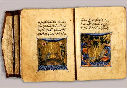 Unknown, Egypt or Syria, 14th Century - Sulwan Al-Muta'a - Google Art Project. Free illustration for personal and commercial use.