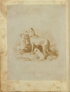 Unknown maker, British - (A Group of Five Dogs) - Google Art Project
