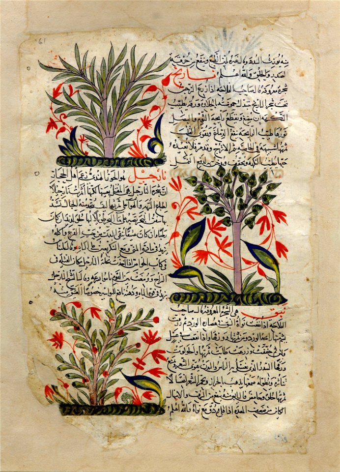 Unknown, Syria - Illustrations - Google Art Project
