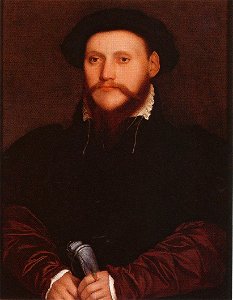 Unknown Man, by Hans Holbein the Younger. Free illustration for personal and commercial use.