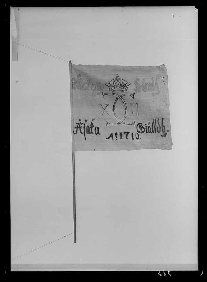 Uppbådsfana - Livrustkammaren - 60367