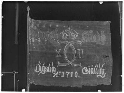 Uppbådsfana Åsle sn - Livrustkammaren - 51417-negative
