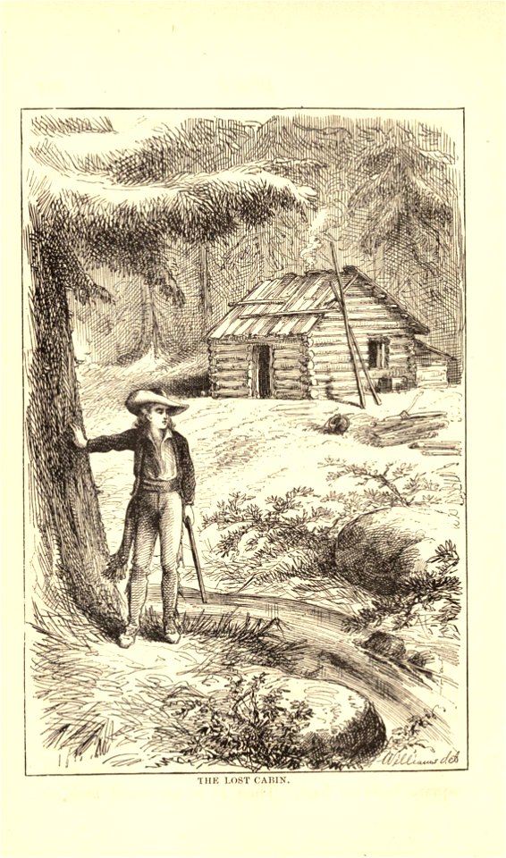Unwrittenhist00millrich 0268 The Lost Cabin