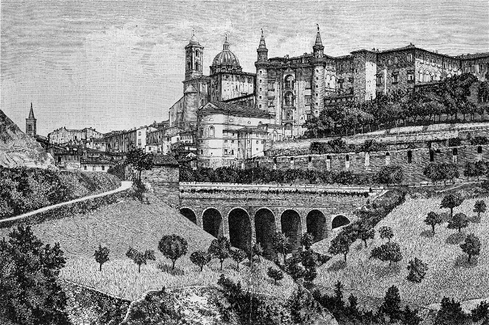 Urbino - Panorama della città, visto dalla via maestra dei Cappuccini (xilografia)
