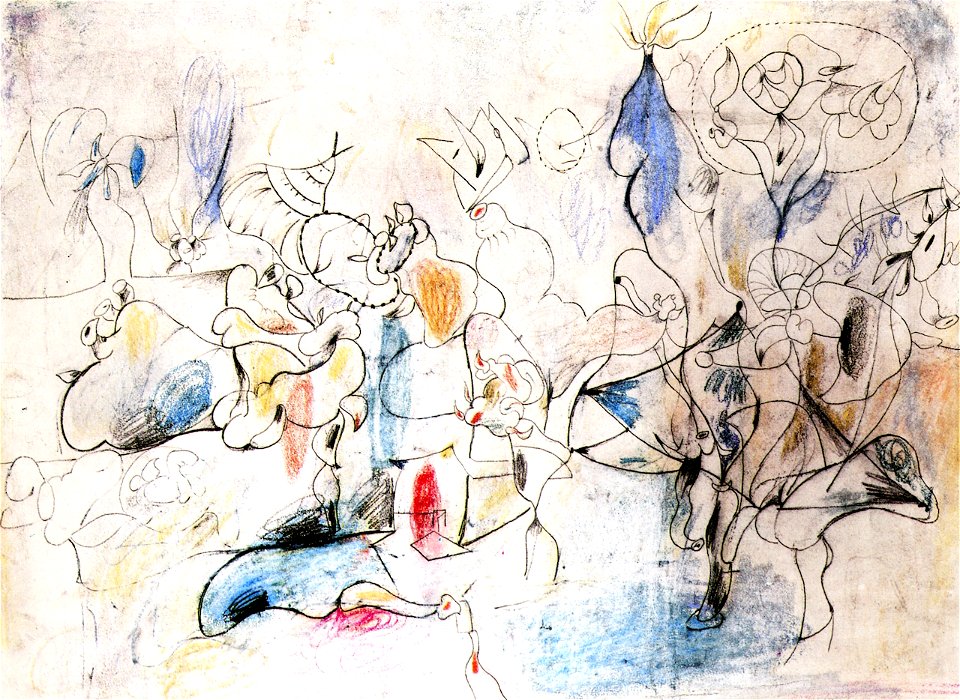 Untitled. Arshile Gorky