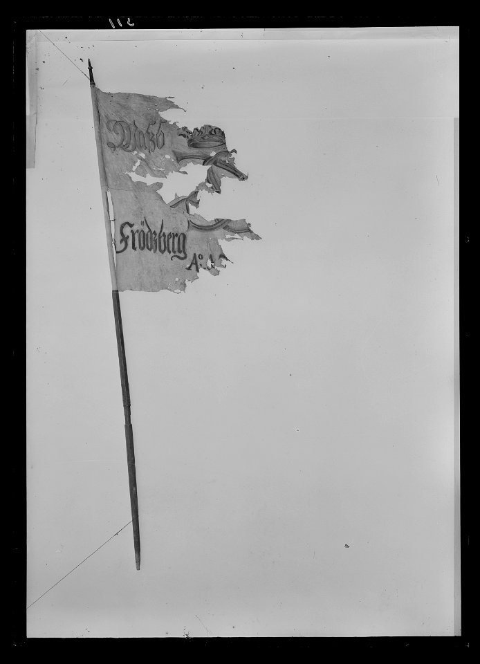 Uppbådsfana för Fredsberg socken i Vadsbo härad - Livrustkammaren - 77465