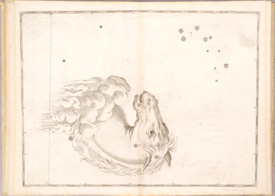 Uranometria by Johann Bayer (1661) 20