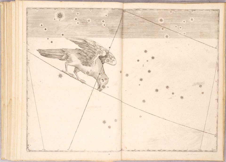 Uranometria by Johann Bayer (1661) 44