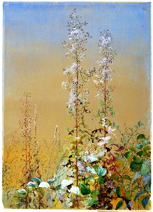 Untitled SAAM-1967.7.5 1