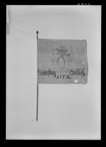Uppbådsfana för Sönnersbergs socken i Kållands härad - Livrustkammaren - 51788