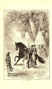 Unwrittenhist00millrich 0294 The Farewell