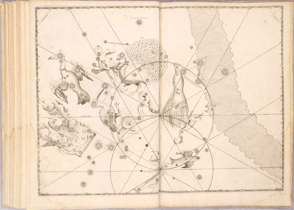 Uranometria by Johann Bayer (1661) 50