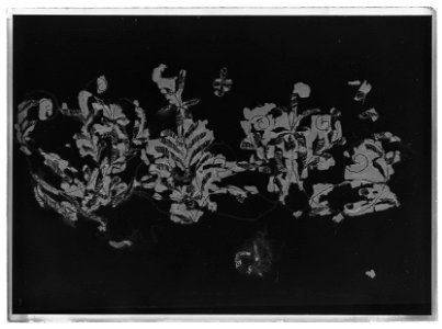 Uppsydda fragment av strumpeband - Livrustkammaren - 26557-negative