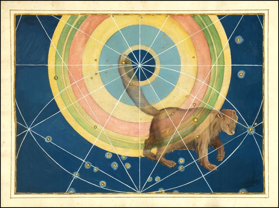 Ursa Minor- Johann Bayer
