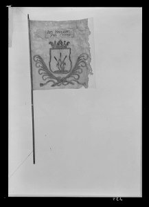 Uppbådsfana för Fristad socken i Vedens (Vena) härad - Livrustkammaren - 428