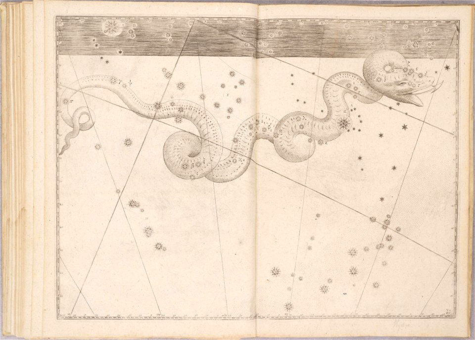 Uranometria by Johann Bayer (1661) 42