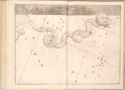 Uranometria by Johann Bayer (1661) 42