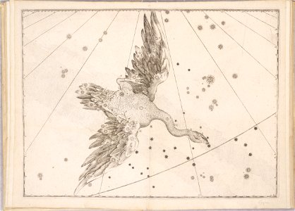 Uranometria by Johann Bayer (1661) 11
