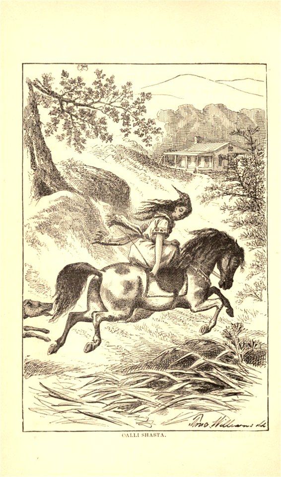 Unwrittenhist00millrich 0486 Calli Shasta