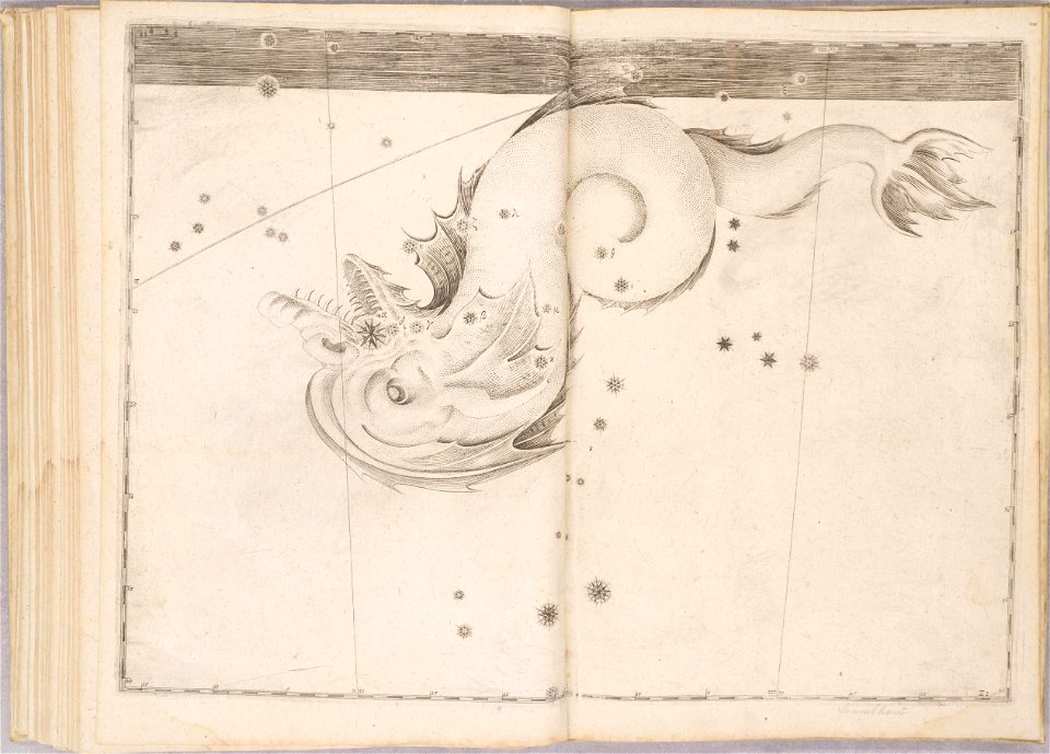 Uranometria by Johann Bayer (1661) 49