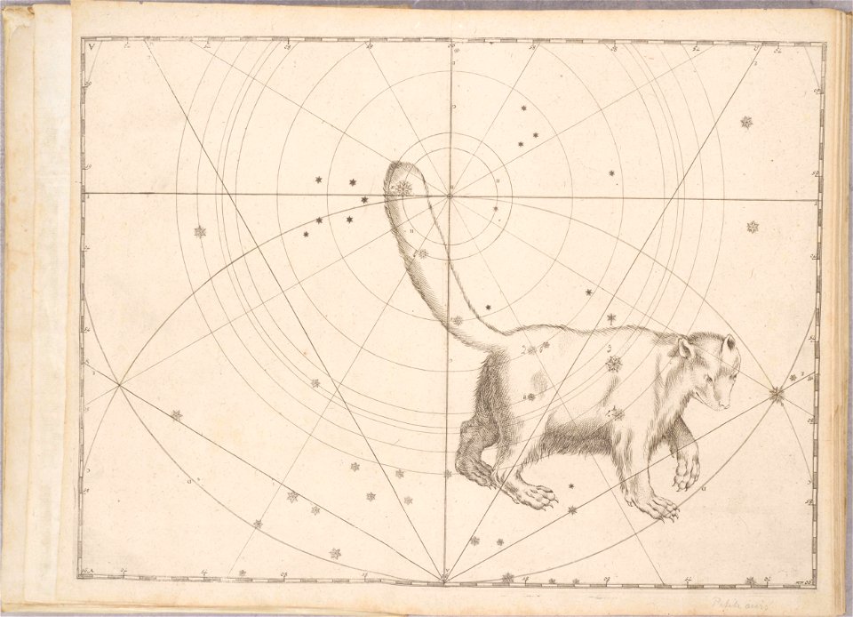 Uranometria by Johann Bayer (1661) 03