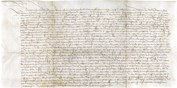 Urkunde für Wilhelm von Stadion Ulm 1497 (ohne Siegel)