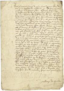 Urkunde Graf Egmont 1547-11-13