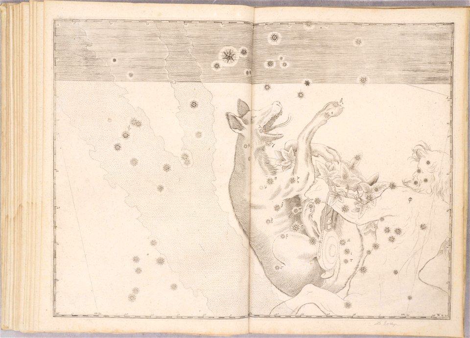 Uranometria by Johann Bayer (1661) 46