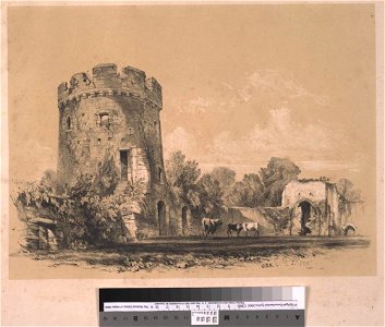 Usk Castle (1128778)