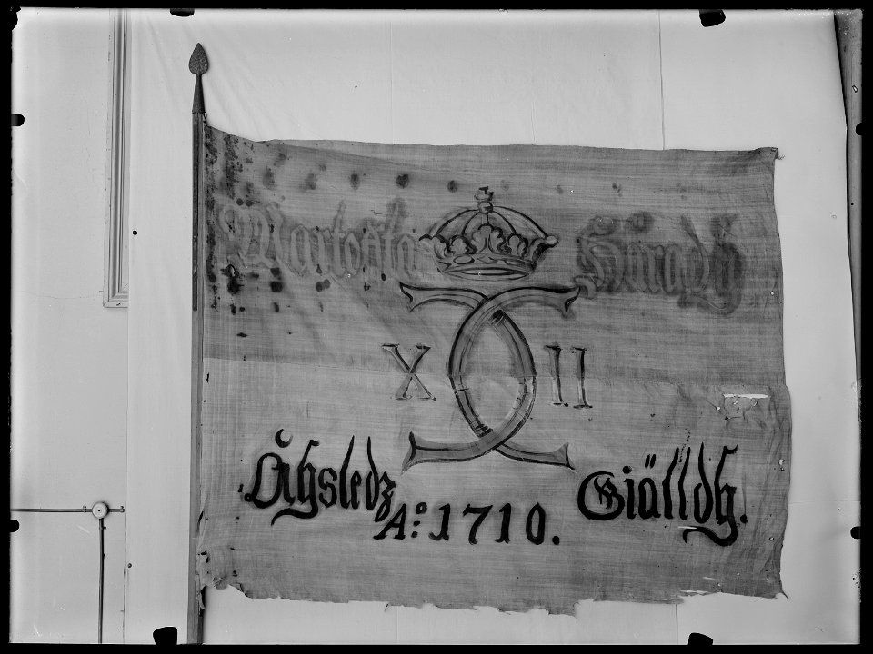 Uppbådsfana Åsle sn - Livrustkammaren - 51417
