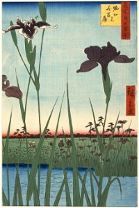 Utagawa Hiroshige I, published by Uoya Eikichi - Horikiri Iris Garden (Horikiri no hanashōbu), from the series One Hundred Famous Views of Edo (Meish... - Google Art Project
