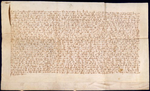 Urkunde 1354 Walter von Rohrdorf Werner von Zimmern Meßkirch