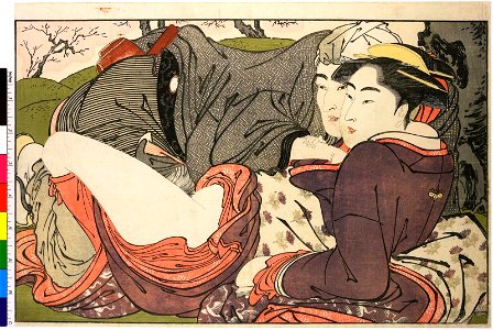 Utamakura 歌まくら (Poem of the Pillow) (BM OA+,0.133.11 1)