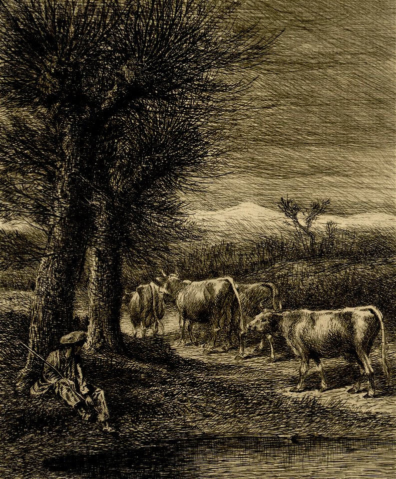 Vaches revenant de l'abreuvoir - Fonds Ancely - B315556101 A LAFOND 3 015