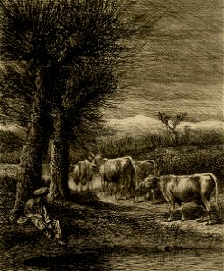 Vaches revenant de l'abreuvoir - Fonds Ancely - B315556101 A LAFOND 3 015