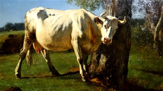 Vache qui se gratte, salon de 1859, huile sur toile, Constant Troyon (1)