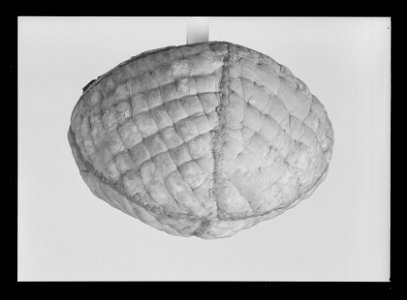 Vadderad mössa t Gustav II Adolfs pott - Livrustkammaren - 35460