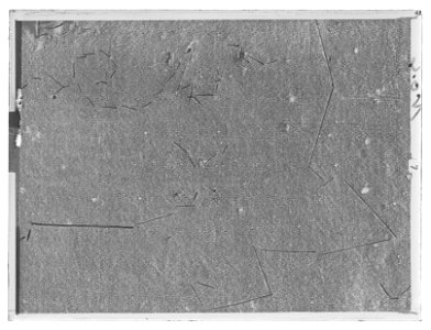 Vagnstak - Livrustkammaren - 19753-negative