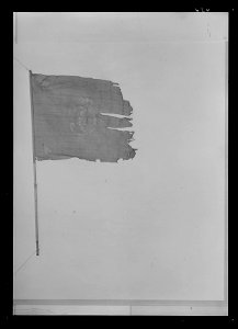 Vaktfana vid Livgardet under Karl XIV Johans regering - Livrustkammaren - 8977