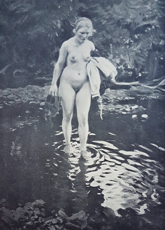 Vadstället x Anders Zorn