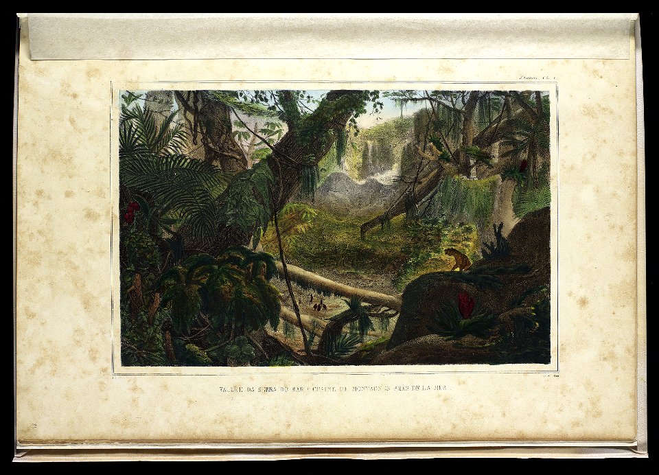 Vallee da Serra do Mar (Chaine de Montagnes pres de la mer) (2), da Coleção Brasiliana Iconográfica