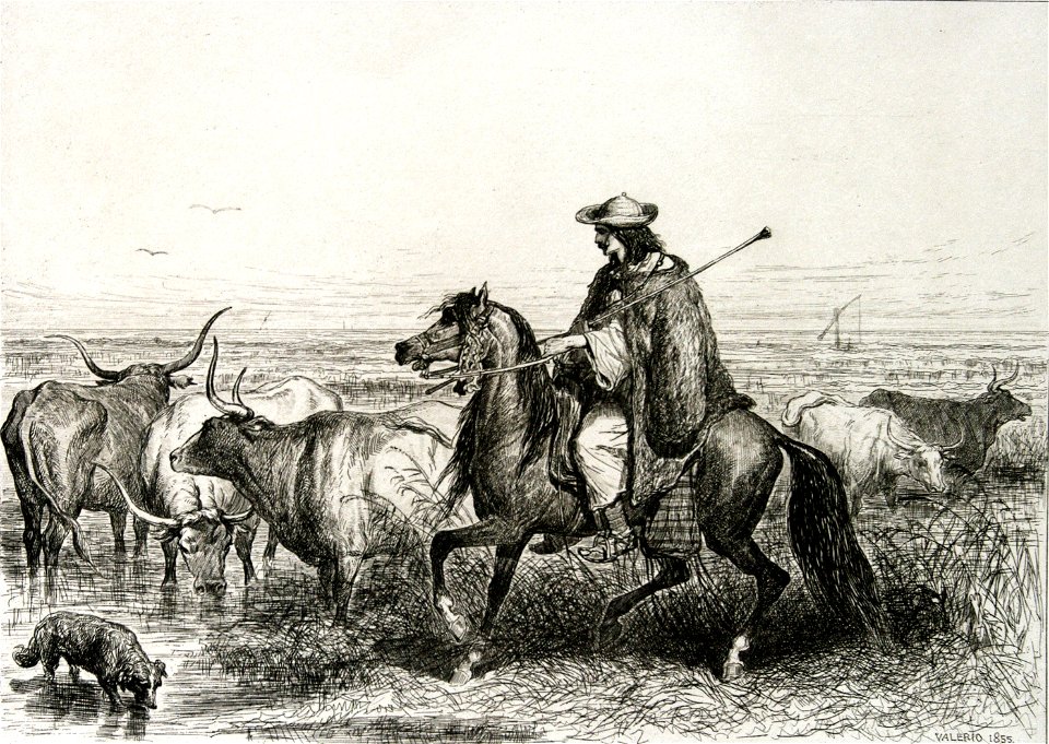 Valerio - Berger Valaque des environs de Gross-Wardein, 1855