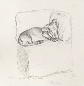 Vallotton - Dachshund on a Sofa, ОР-27239, 1913
