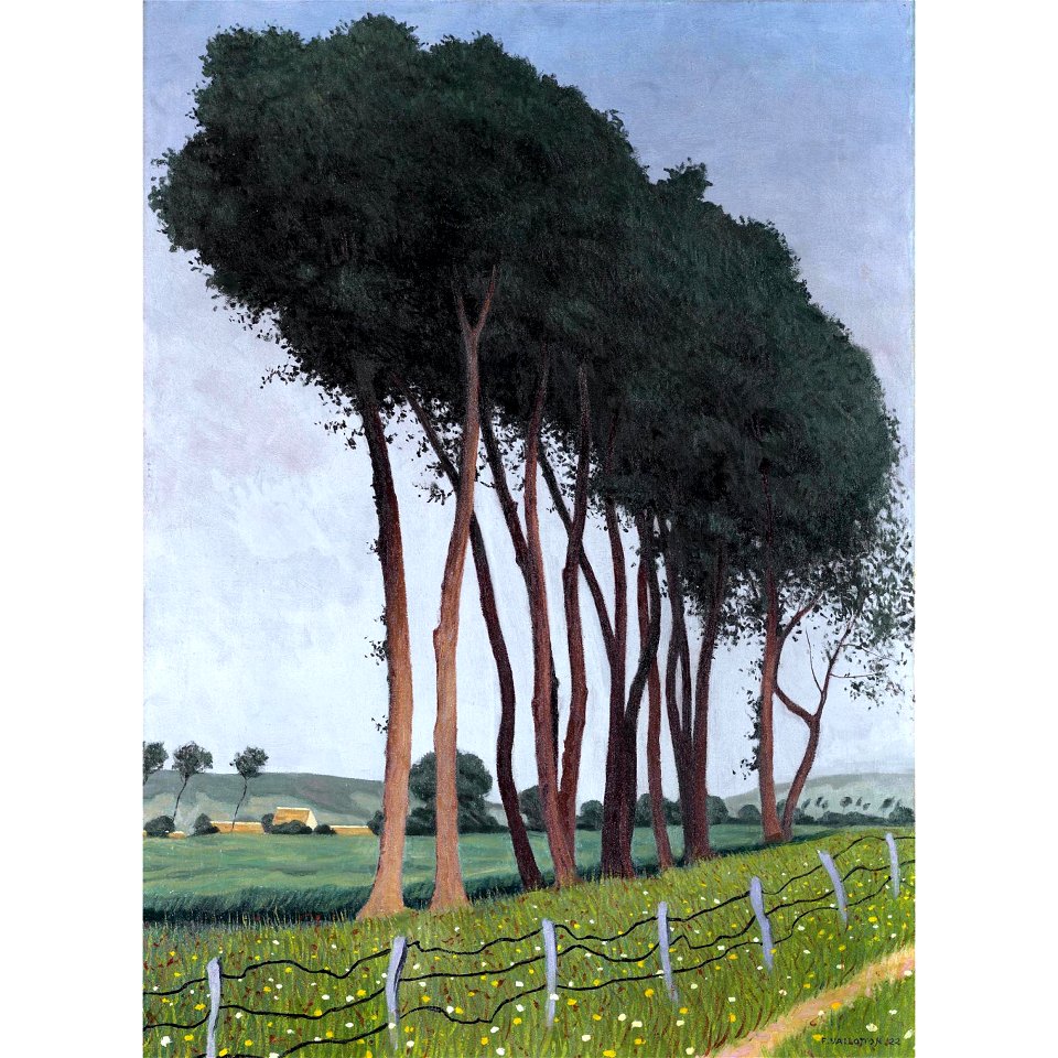 Vallotton - FAMILLE D'ARBRES, 1922, lot.51