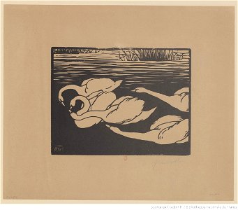 Vallotton - Les cygnes, btv1b6951655k