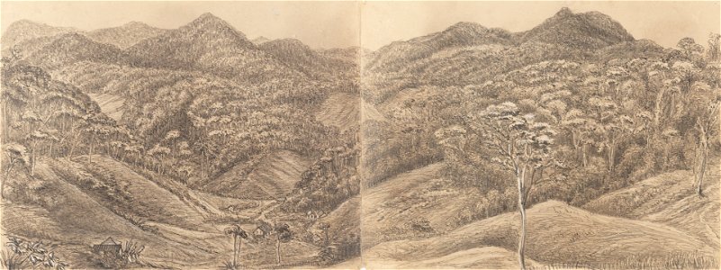 Valley - from the Road to the Presidencia - Petropolis Febr. 6th 1855, da Coleção Brasiliana Iconográfica