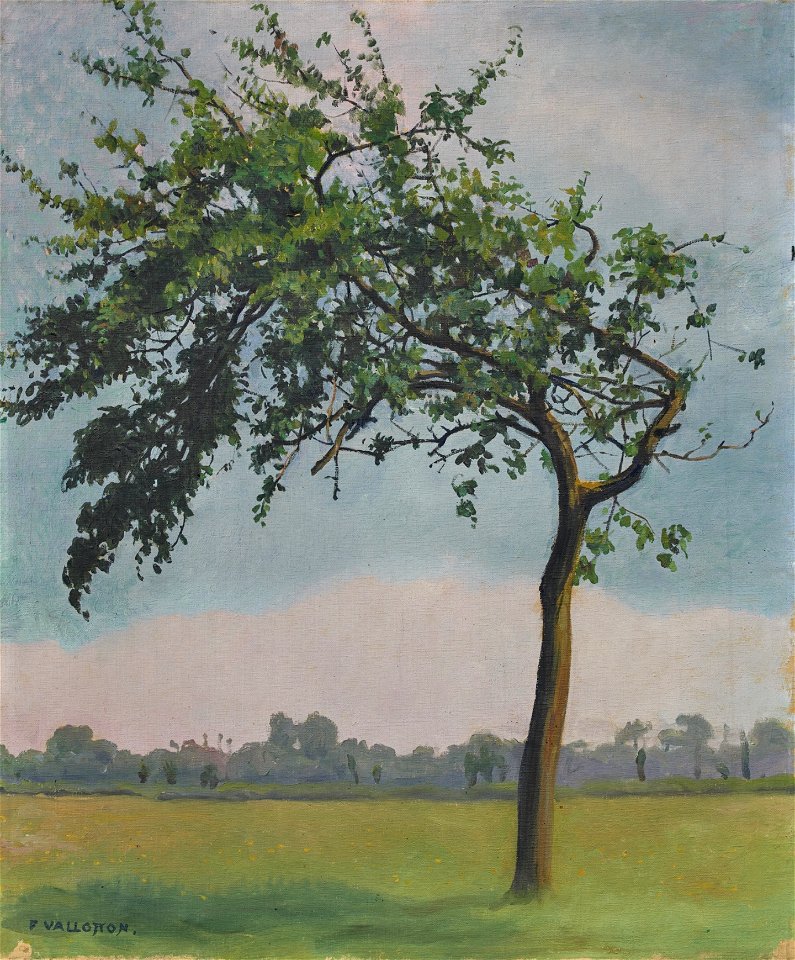 Vallotton - Le pommier, Varengeville, lot.41