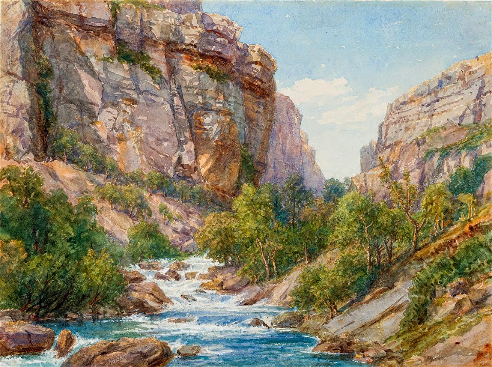 Valley of the Sant du Loup, Cannes - Frances Blake