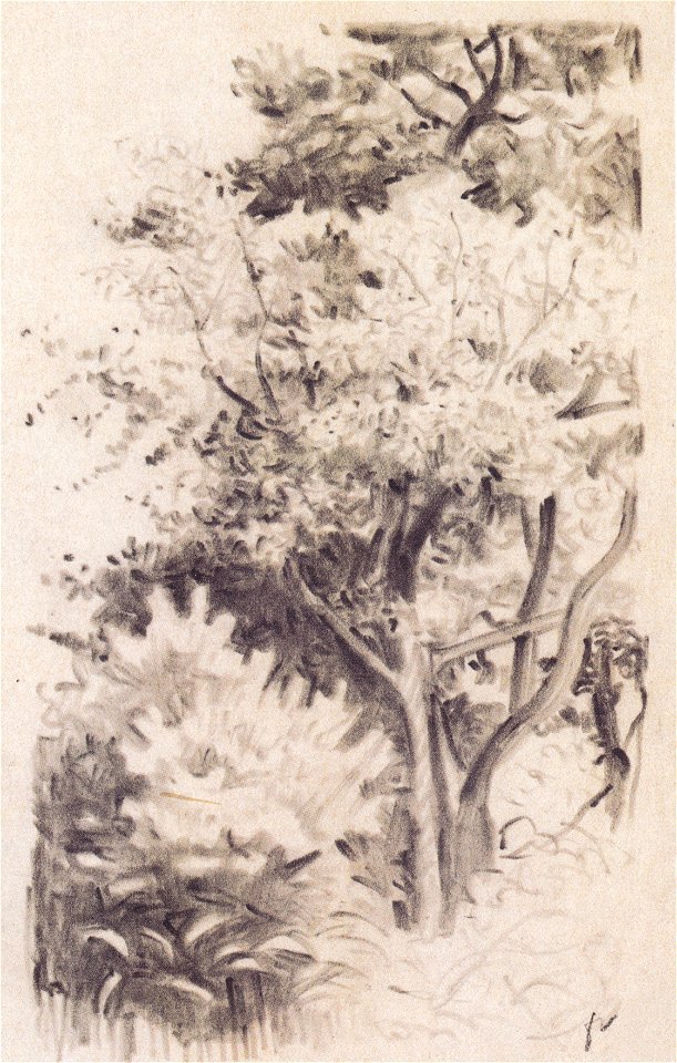 Vallotton - Sous-bois
