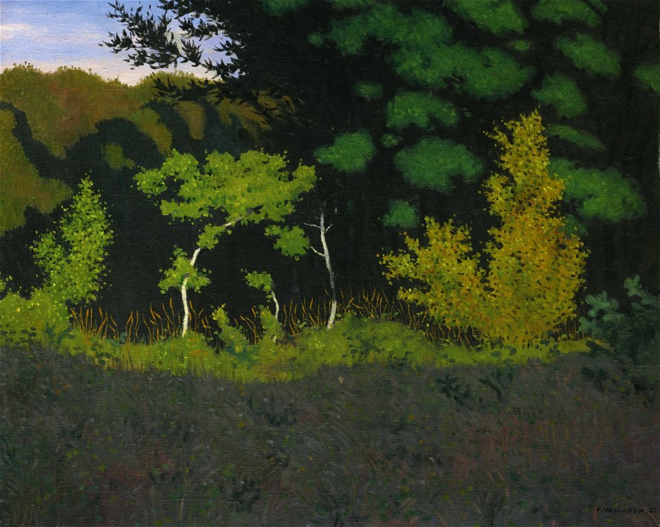 Vallotton - LISIÈRE DE FÔRET, 1920, lot.58